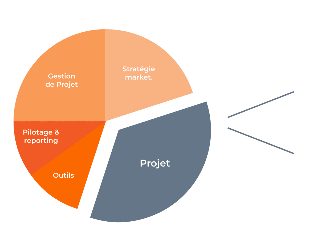 activites metier charge projet
