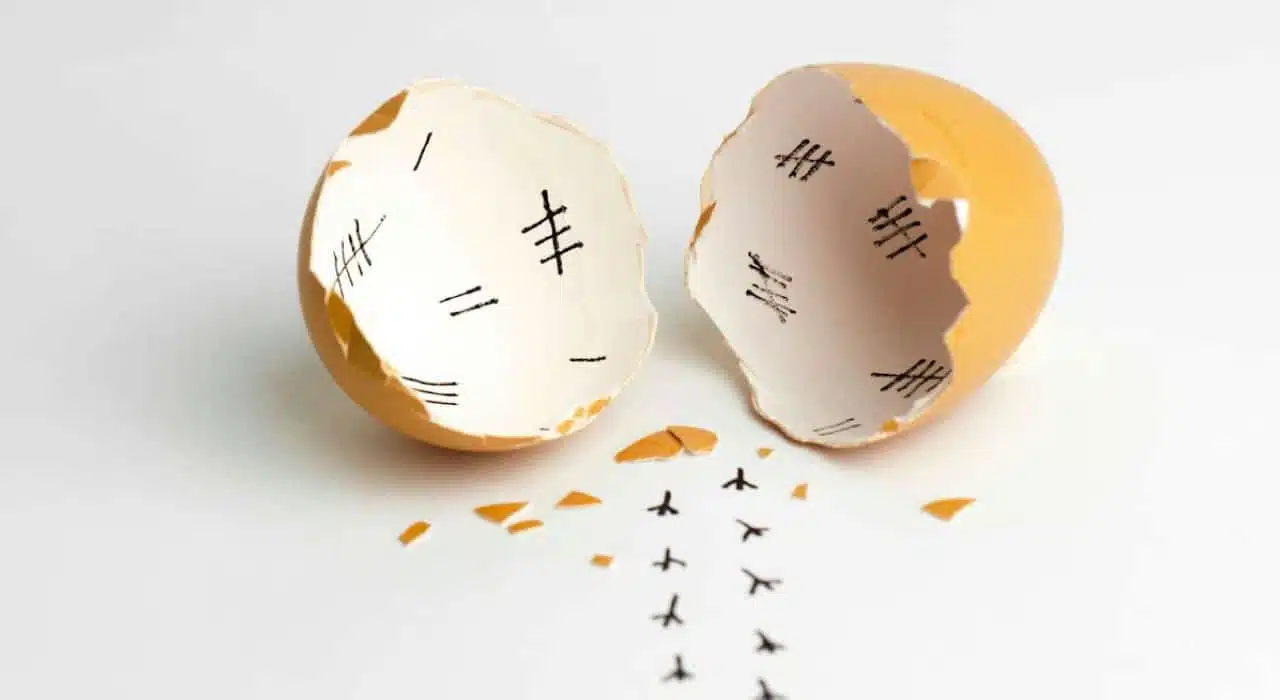 article talent definition