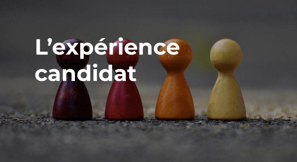 image expertise experience candidat