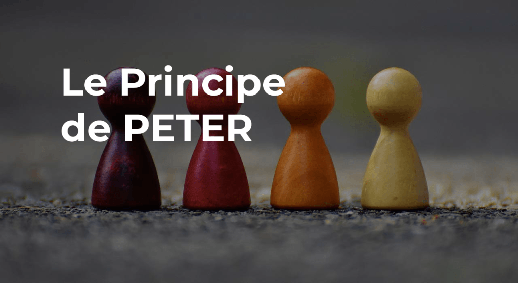 image principe peter expertise