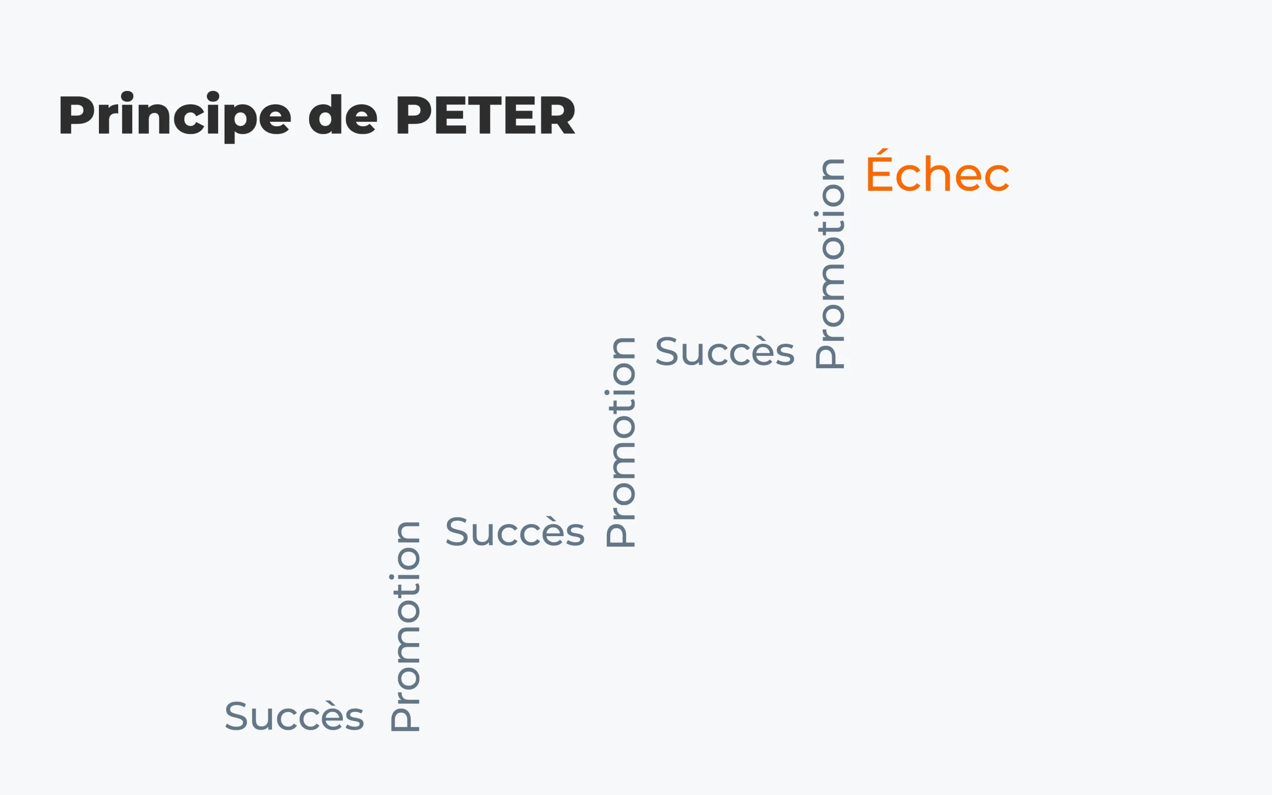 principe de peter definition